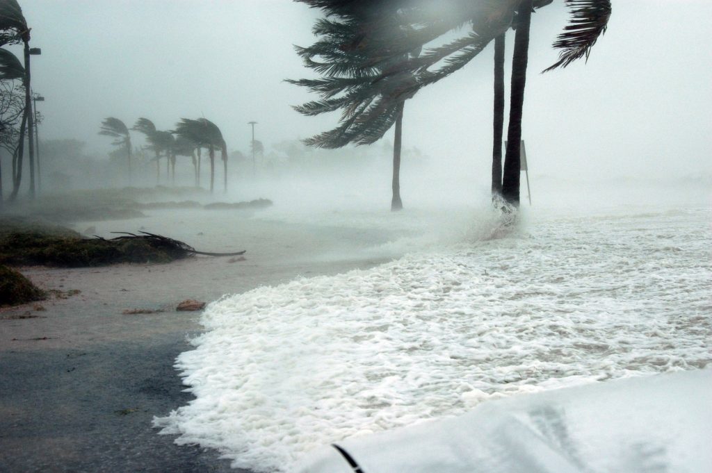 Quick & Easy Steps to Hurricane Proof Your House